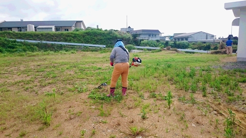 草刈りは誰だ？