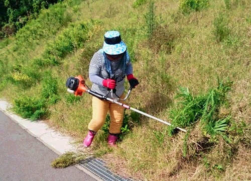 草刈りはまさか？