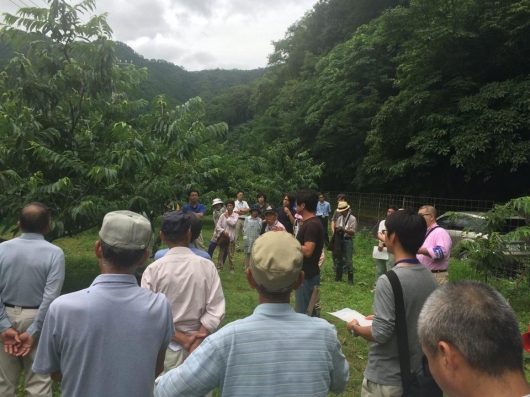 栗講習会