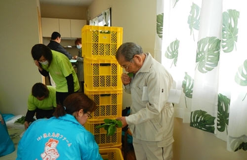 植物工場
