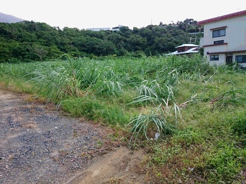 台風15号①
