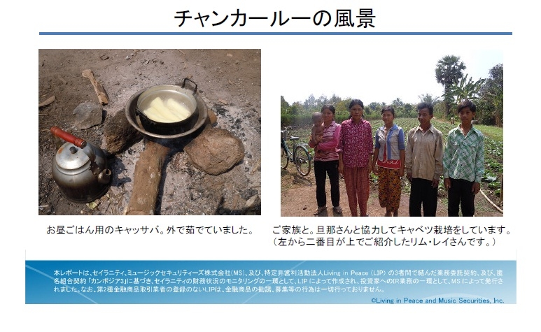 セイラニティ