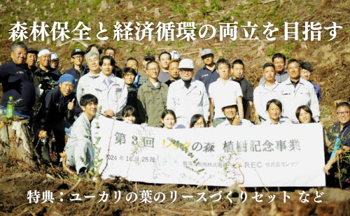 10年後の未来を育てるユーカリ植林ファンド
