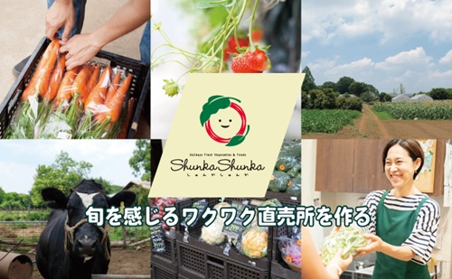 しゅんかしゅんかファンド