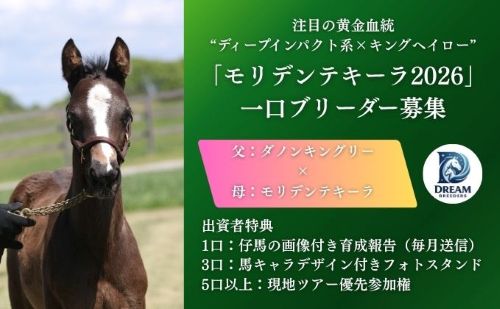 モリデンテキーラ2026　育成ファンド