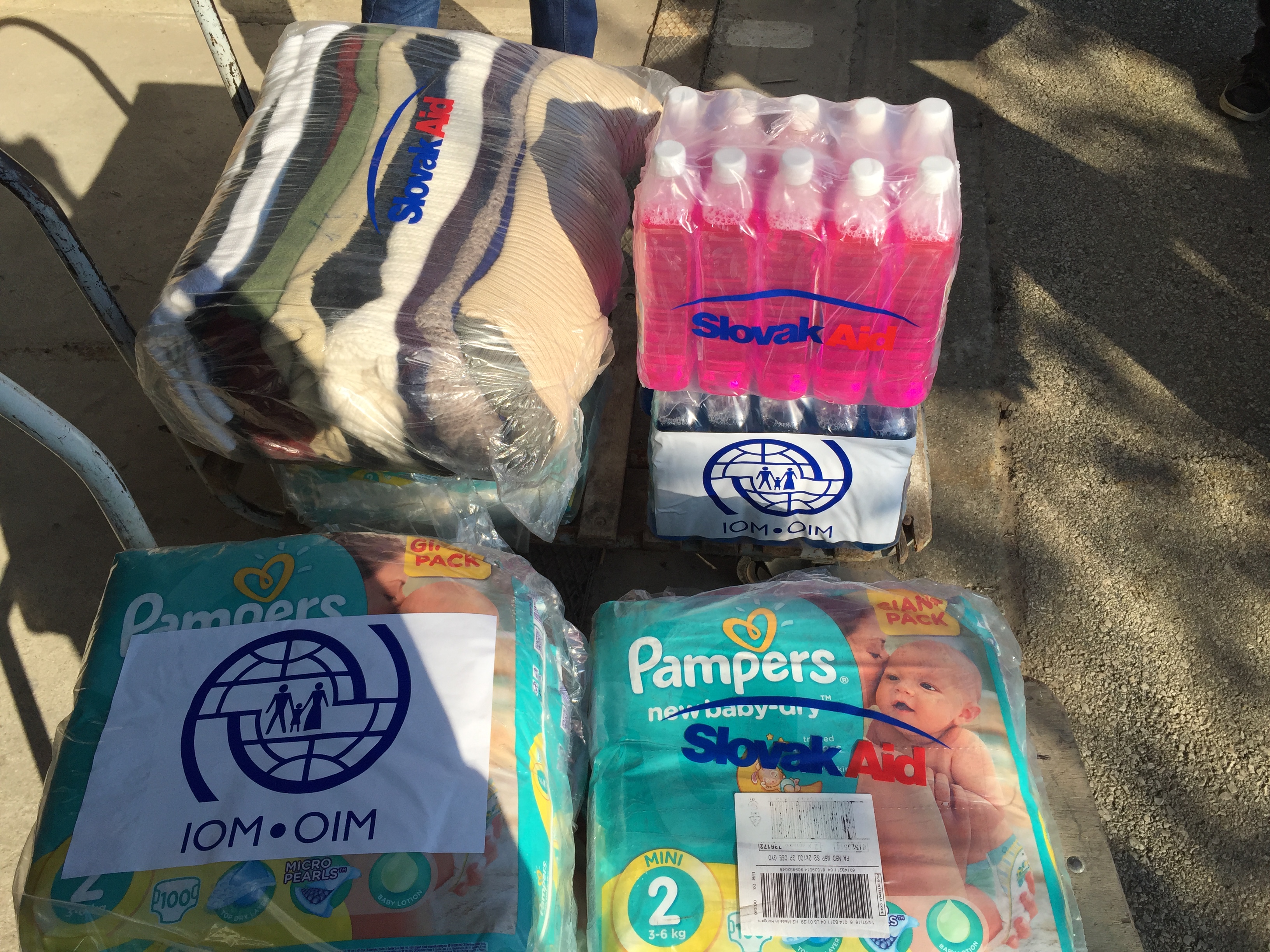 国際移住機関（国連IOM）支援寄付