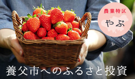 養父市へのふるさと投資